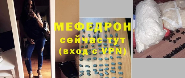 индика Абаза
