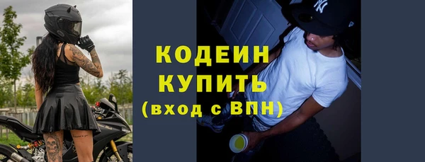 индика Абаза